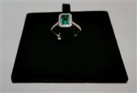 Anello Sangiorgi Preziosi Donna in Oro bianco Smeraldo AVCZFIO